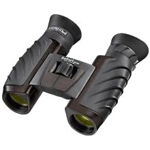 Steiner Safari UltraSharp 10x26