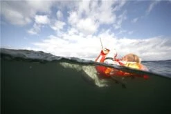 Secumar Rettungsweste Scout 275N 3D -Boot Welt PIC882735cb416616