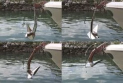 ULTRA MARINE Edelstahl Ankerwirbel UFS 6-12 -Boot Welt flip swivel haken2