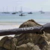 TEMO Tragetasche -Boot Welt temo tragetasche 02
